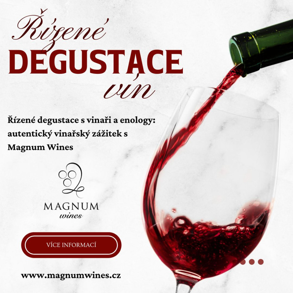 Řízené degustace s vinaři a enology: autentický vinařský zážitek s Magnum Wines